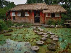 -南山植物园