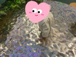 -汪正影业(萧山万象汇店)