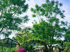 -西江印象酒楼