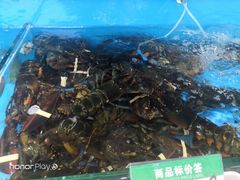 -港畔赶海蒸汽海鲜烧烤自助(仙螺岛店)