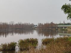 -白鹭湾湿地公园