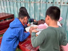 -亲兄弟真人CS团建拓展基地