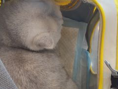 -贝康宠物医院·犬猫全科·小动物特色诊疗中心(东环路店)