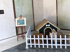 -上海崇明金茂凯悦酒店