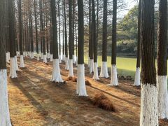 -艾溪湖湿地公园