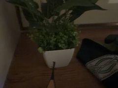 -淳SPA·精油按摩(蓝海御华大饭店)