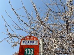 -东北大学(南湖校区)