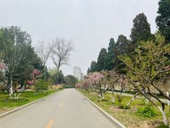 -中国农业博物馆