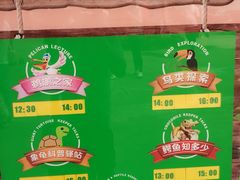 -广州长隆飞鸟乐园