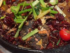 -鱼酷活鱼烤鱼(恒隆广场店)