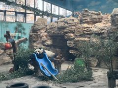 -石家庄市动物园