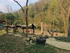 -都江堰中华大熊猫苑