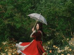 -鹅湖玫瑰文化园