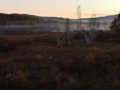 -莫尔道嘎国家森林公园