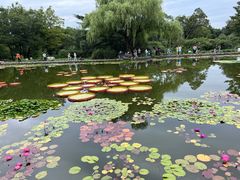 -国家植物园南园