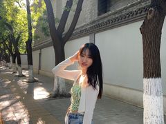-北京国子监胡同