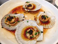 豉汁扇贝-徐记海鲜(陕西历史博物馆|明德门店)