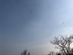 -贡湖湾湿地公园