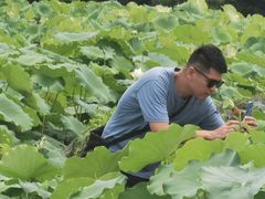 -会仙湿地