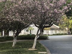 -范蠡湖公园