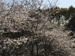 -南山植物园
