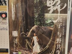 -霸王茶姬(建邺万达广场店)