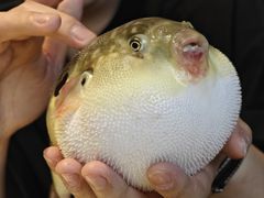 -永安鱼庄·镇江菜(东吴路店)