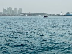 -青岛海滨风景区
