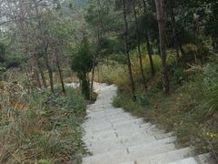 -沂蒙山旅游区云蒙景区(蒙山国家森林公园)