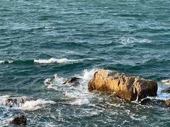 -养马岛旅游度假区