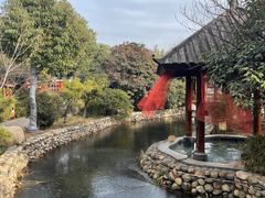 -观唐（国际）度假村温泉