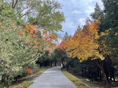 -森林公园(尖草坪区)