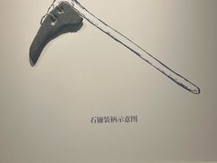 -上海崧泽遗址博物馆