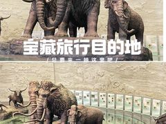 -大庆市博物馆