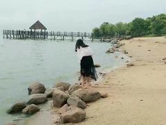-瑶湖郊野森林公园
