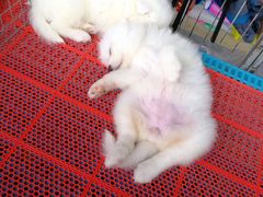 -长春农博园