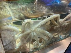 -V-ONE西雅图海鲜自助餐厅(仓山万达广场店)