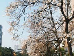 -红星桥(地铁站)