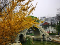 -团结湖公园