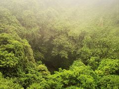 -海口火山口国家地质公园