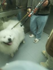 点击看大图 -HD HAIR STYLE