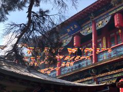 -北山公园
