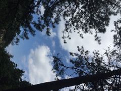 大明山-大明山自然探索公园