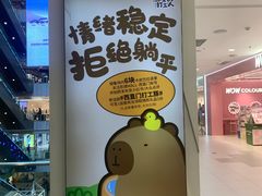 -凯德MALL(西直门店)