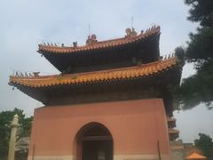-北陵公园