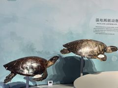 -中国湿地博物馆
