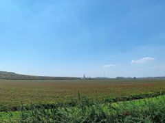 -南京枫彩漫城