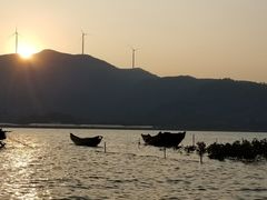 -盐洲岛
