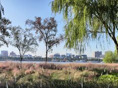 -上海山野camping·户外天幕烧烤·团建拓展营地