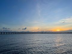 -宝安西湾红树林湿地公园